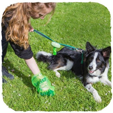 Beco Pets Pocket Eco-Friendly Poop Bag Dispenser - BLUE
